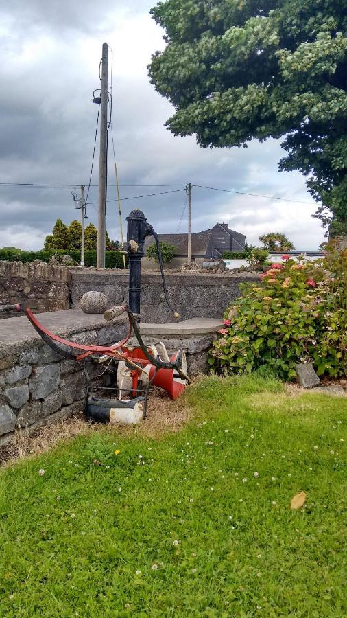 Grannagh Castle House Panzió Waterford Kültér fotó